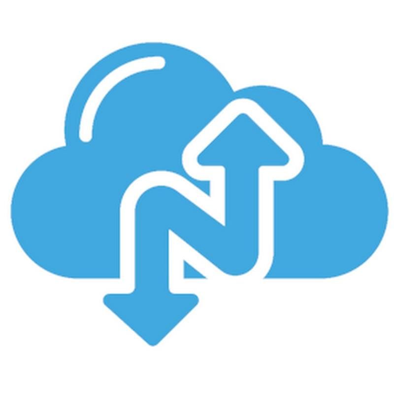 Narbulut Easy Image Backup 100GB Cloud Storage (1 Yıl Basic Support)